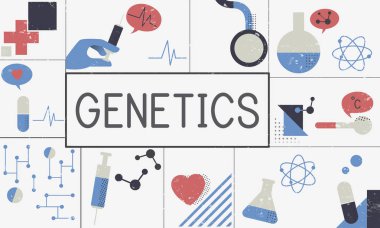 tasarım şablonu sayfa