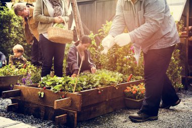 insanlar sebze dikim