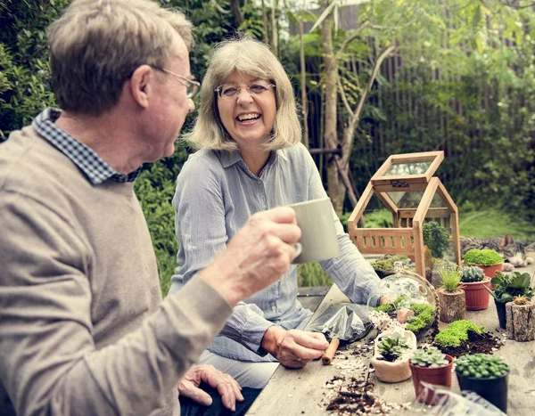 Senior couple plantation succulents . — Photo