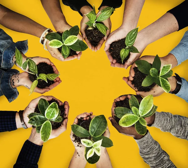 Personas sosteniendo plantas en las manos — Foto de Stock