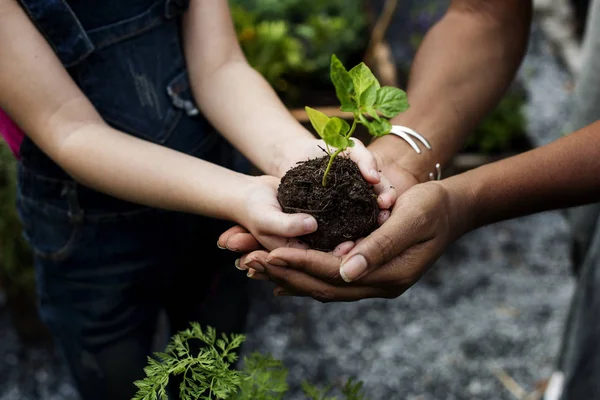 Los niños van a plantar un árbol —  Fotos de Stock