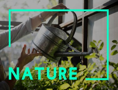 bitkilerin sulama ile sulama