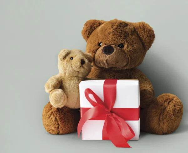 Twee teddy beren — Stockfoto