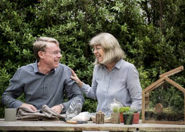 üst düzey çift dikim succulents. 