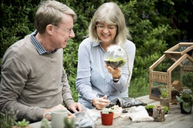 üst düzey çift dikim succulents. 