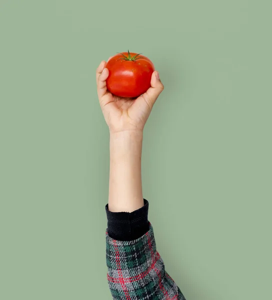 손을 잡고 토마토 — 스톡 사진