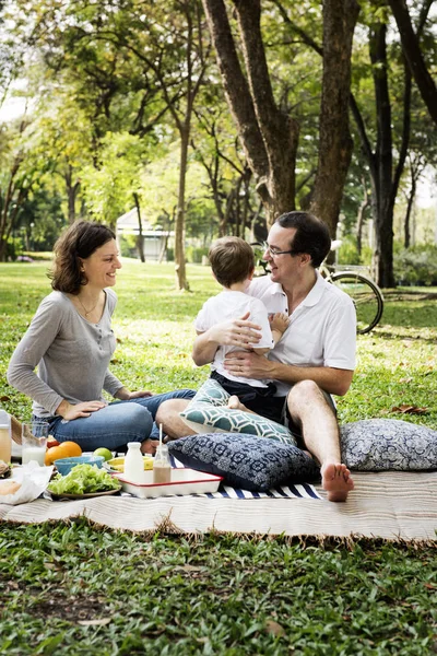 Семейный пикник в парке — стоковое фото