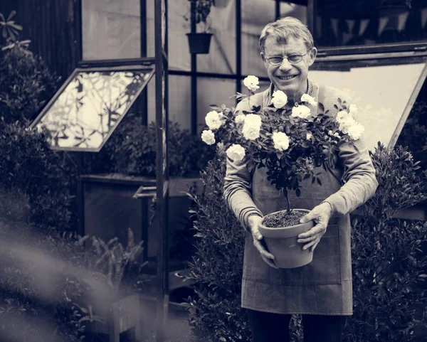 Homem sênior segurando flores no pote — Fotografia de Stock