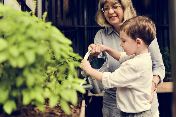 Nonna e nipote irrigazione piante — Foto Stock