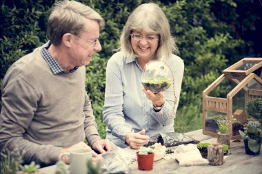 üst düzey çift dikim succulents. 