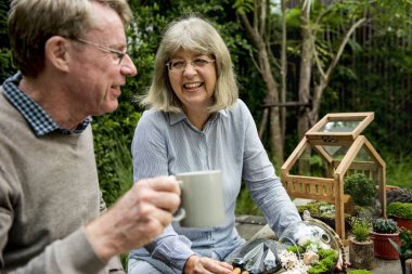 üst düzey çift dikim succulents. 
