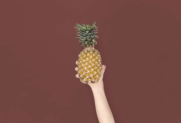 Ananas, håndholdt – stockfoto