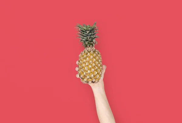 Рука держит спелый ананас — стоковое фото