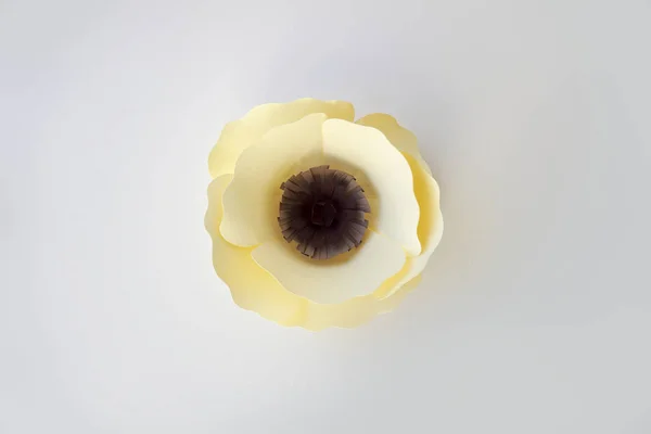 Ručně vyráběné Papírové modely květ — Stock fotografie