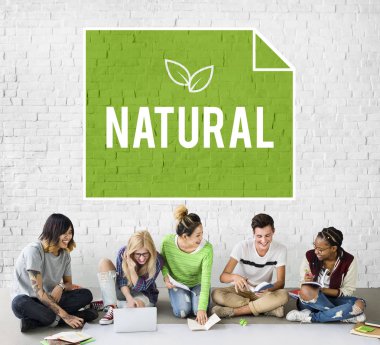 öğrenciler proje üzerinde birlikte çalışma