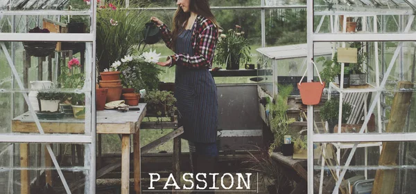 Kvinna vattna växter i växthus — Stockfoto