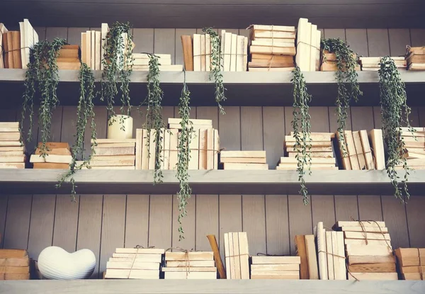 Various books on shelves in library — Stock Photo, Image