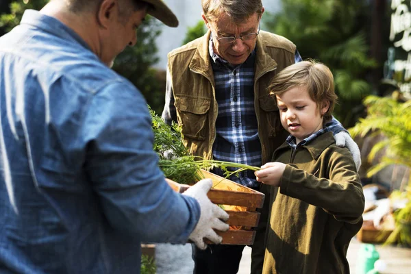 Niño sosteniendo zanahorias de cosecha fresca — Foto de Stock