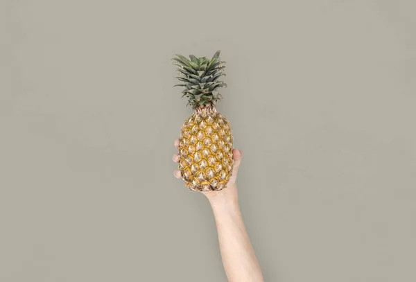 Ananas, håndholdt – stockfoto