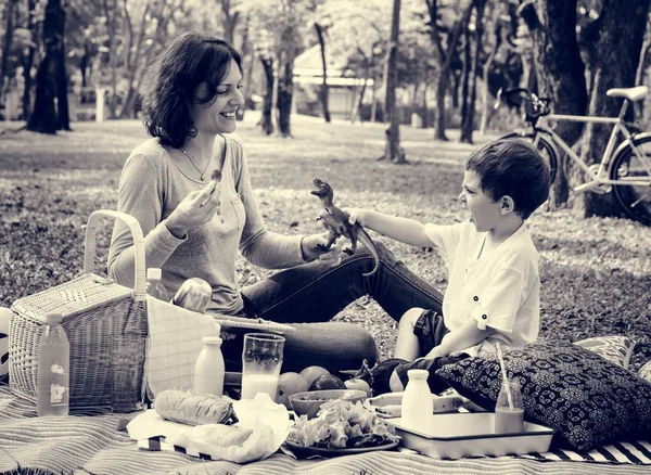 Familia haciendo picnic en el parque —  Fotos de Stock