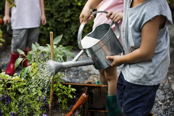 Anak-anak di kebun menyiram tanaman — Stok Foto