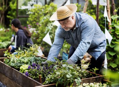 adam arka üzerinde Bahçe