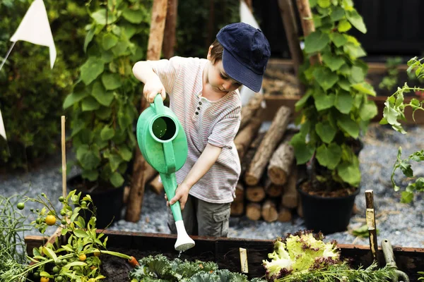 Los niños están en el jardín regando las plantas — Foto de Stock