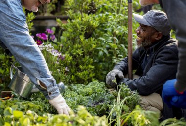  insanlar üzerinde arka bahçe 