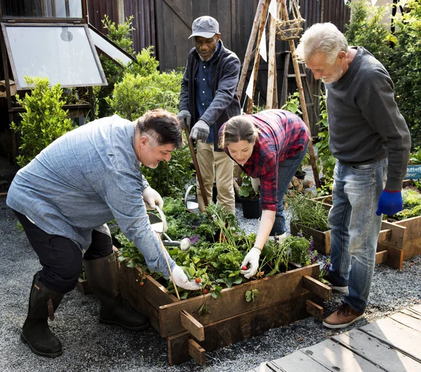 Gente jardinería en el patio trasero — Foto de Stock
