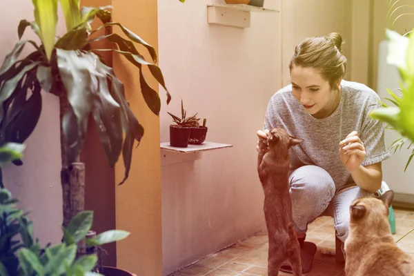 Žena hraje s kočkou — Stock fotografie