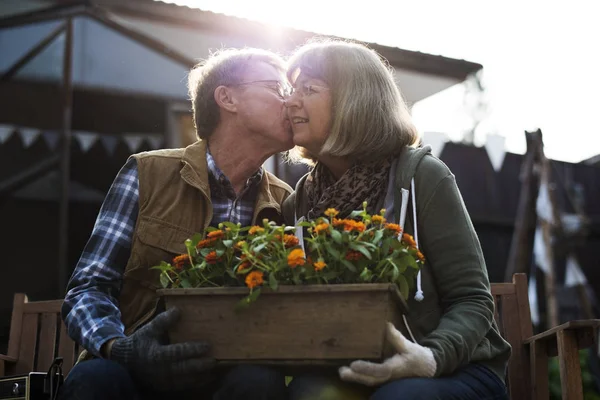 Sénior agricultor casal beijando — Fotografia de Stock
