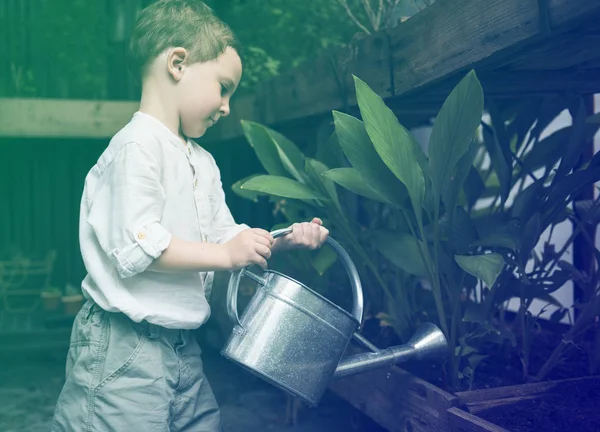 Niño pequeño con regadera —  Fotos de Stock