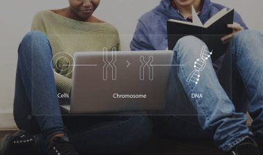 Öğrenciler dizüstü bilgisayar ve kitap ile öğrenme 