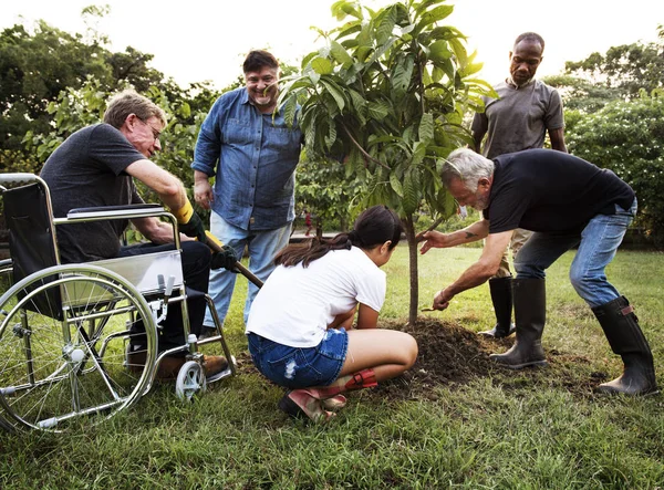 Persone che piantano l'unità degli alberi — Foto Stock