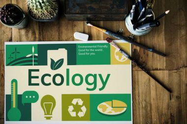 Tahta masadaki boya fırçaları