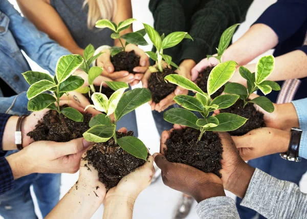 Personas sosteniendo plantas en las manos — Foto de Stock