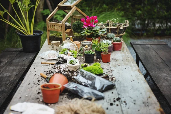 Trädgårdsskötsel Keramik Grön Natur Växt Original Fotosätta — Stockfoto