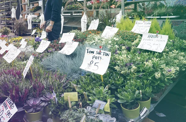 Flower shop full blom — Stockfoto