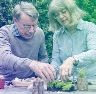 üst düzey çift dikim succulents. 