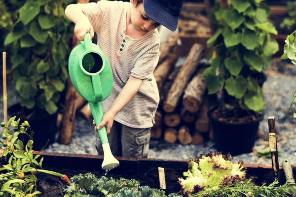 I bambini sono in giardino ad annaffiare le piante — Foto Stock
