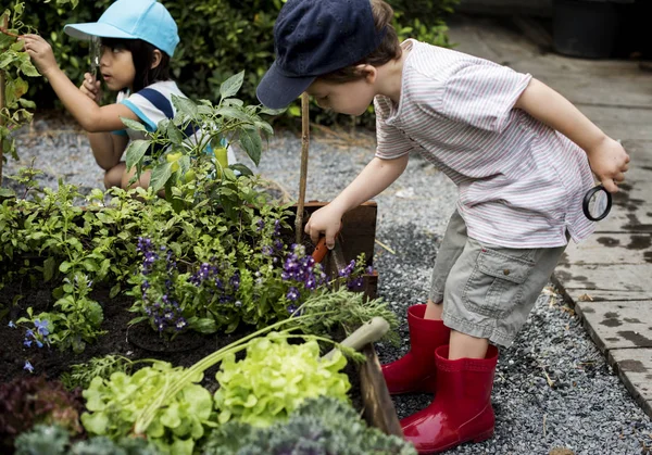 Niños en un jardín, recorrido estudiantil — Foto de Stock