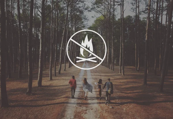 Czterech młodych ludzi, spacery w lesie — Zdjęcie stockowe