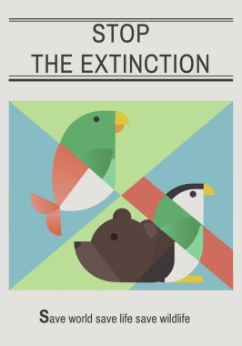 tasarım şablonu sayfa