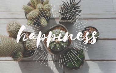 Tencere Yurtiçi çiçek