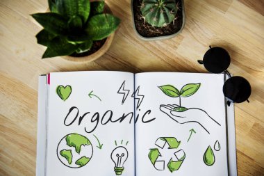 Bitkiler ile masada dizüstü bilgisayar çizimi