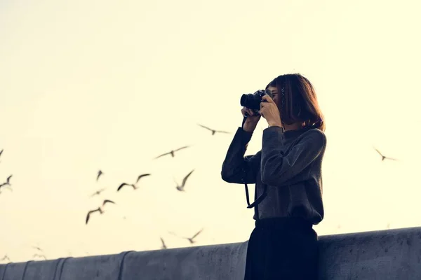 Mujer fotografiando aves —  Fotos de Stock