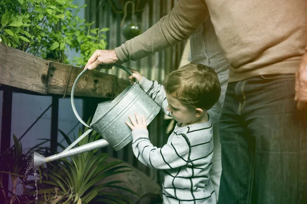 Prarodiče a vnuka zalévání rostlin — Stock fotografie