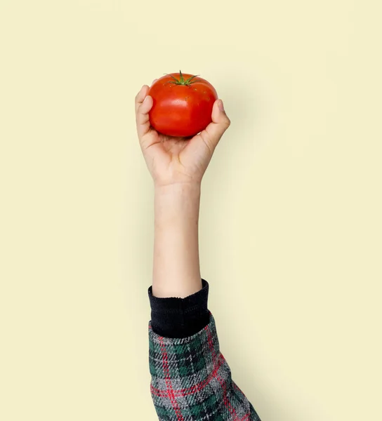 Рука холдингу томатний — стокове фото