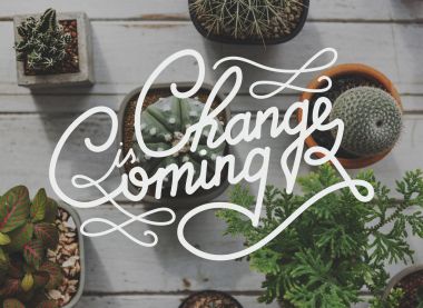 Tencere Yurtiçi çiçek