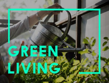 bitkilerin sulama ile sulama